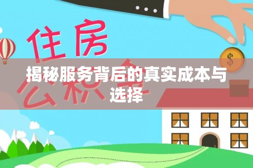 青秀揭秘服务背后的真实成本与选择