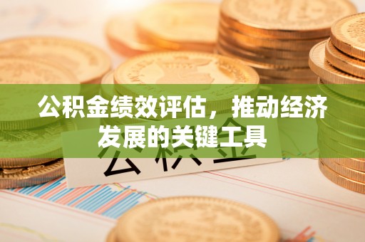 青秀公积金绩效评估，推动经济发展的关键工具
