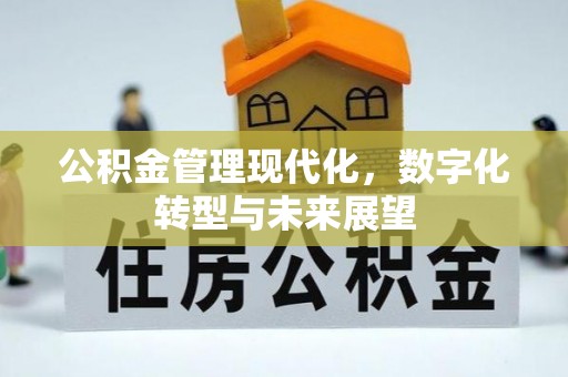 青秀公积金管理现代化，数字化转型与未来展望