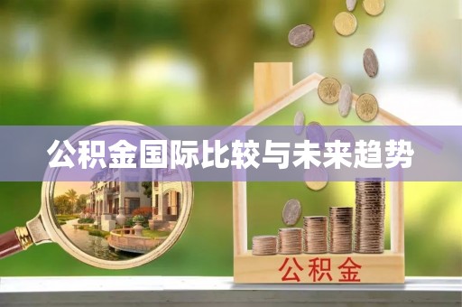 青秀公积金国际比较与未来趋势
