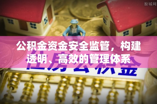 青秀公积金资金安全监管，构建透明、高效的管理体系