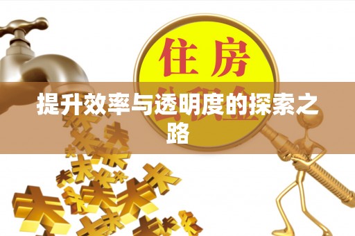 青秀提升效率与透明度的探索之路