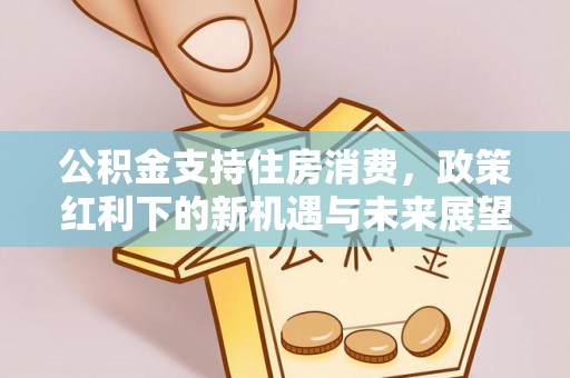 青秀公积金支持住房消费，政策红利下的新机遇与未来展望
