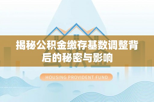 青秀揭秘公积金缴存基数调整背后的秘密与影响