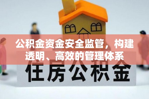 青秀公积金资金安全监管，构建透明、高效的管理体系