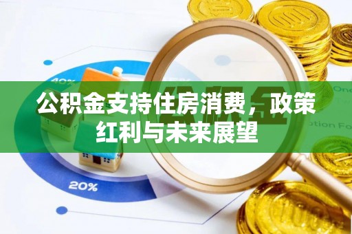 青秀公积金支持住房消费，政策红利与未来展望