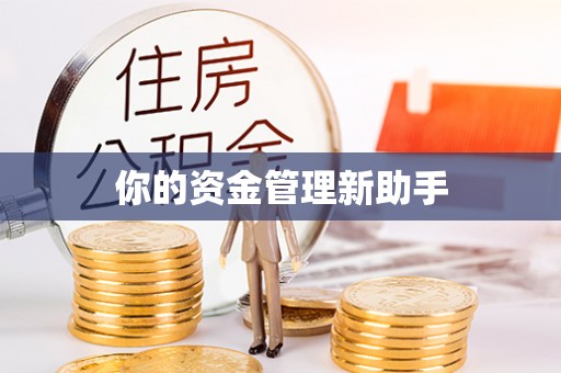 青秀你的资金管理新助手
