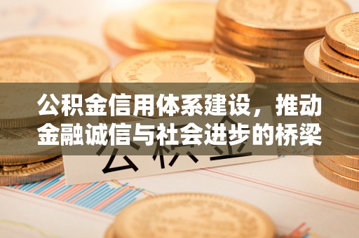 青秀公积金信用体系建设，推动金融诚信与社会进步的桥梁