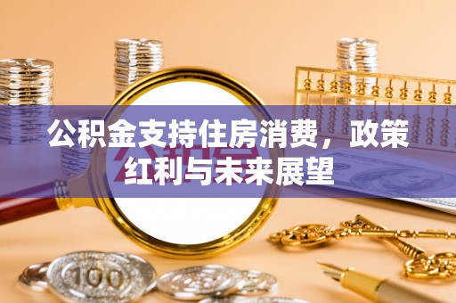 青秀公积金支持住房消费，政策红利与未来展望