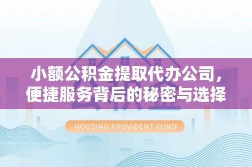 青秀小额公积金提取代办公司，便捷服务背后的秘密与选择指南