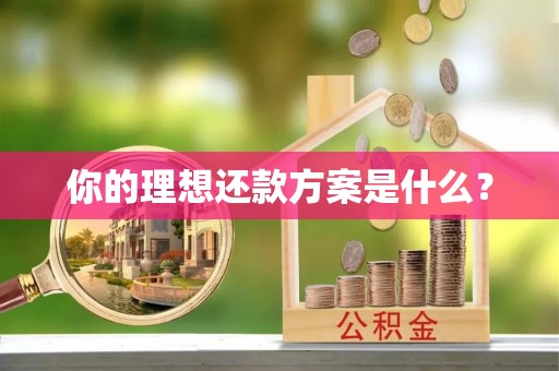 青秀你的理想还款方案是什么？