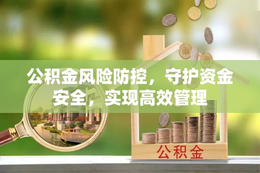 青秀公积金风险防控，守护资金安全，实现高效管理