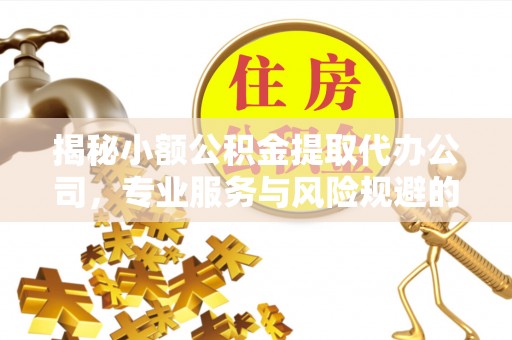 青秀揭秘小额公积金提取代办公司，专业服务与风险规避的平衡艺术