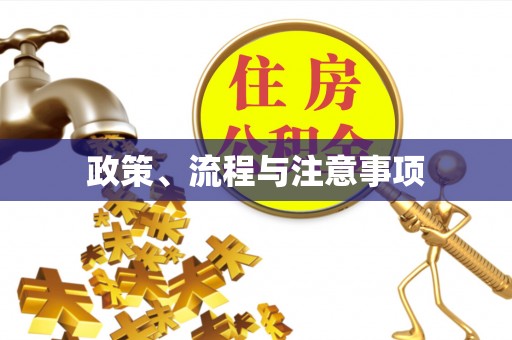 青秀政策、流程与注意事项