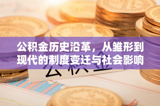 青秀公积金历史沿革，从雏形到现代的制度变迁与社会影响