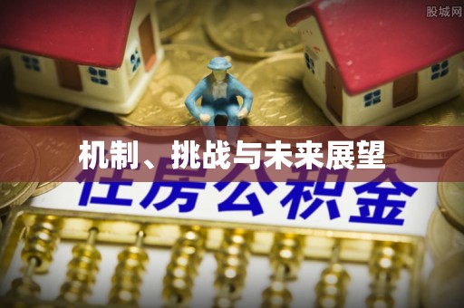 青秀机制、挑战与未来展望