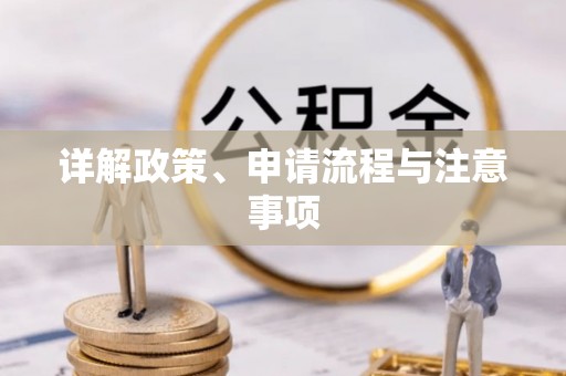 青秀详解政策、申请流程与注意事项
