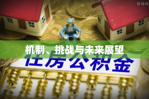 青秀机制、挑战与未来展望